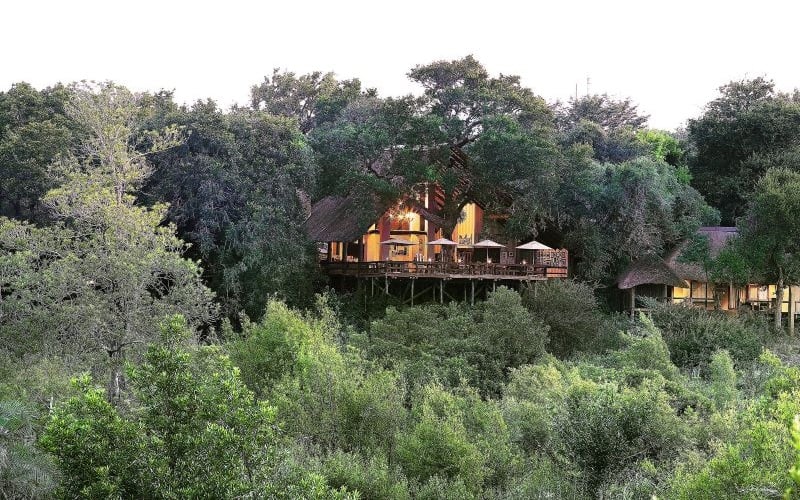 Londolozi Varty Camp